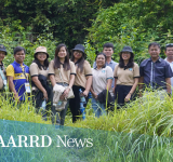 Project to optimize fertilization rates, intercropping system for  coconut hybrid farms in Leon, Iloilo